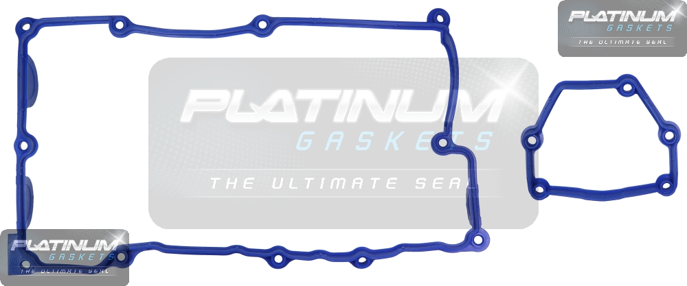 RCG731K Platinum Rocker Cover Gasket Set suit BMW N46B - Image 1
